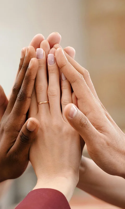 Connect with Non-Profit Partners