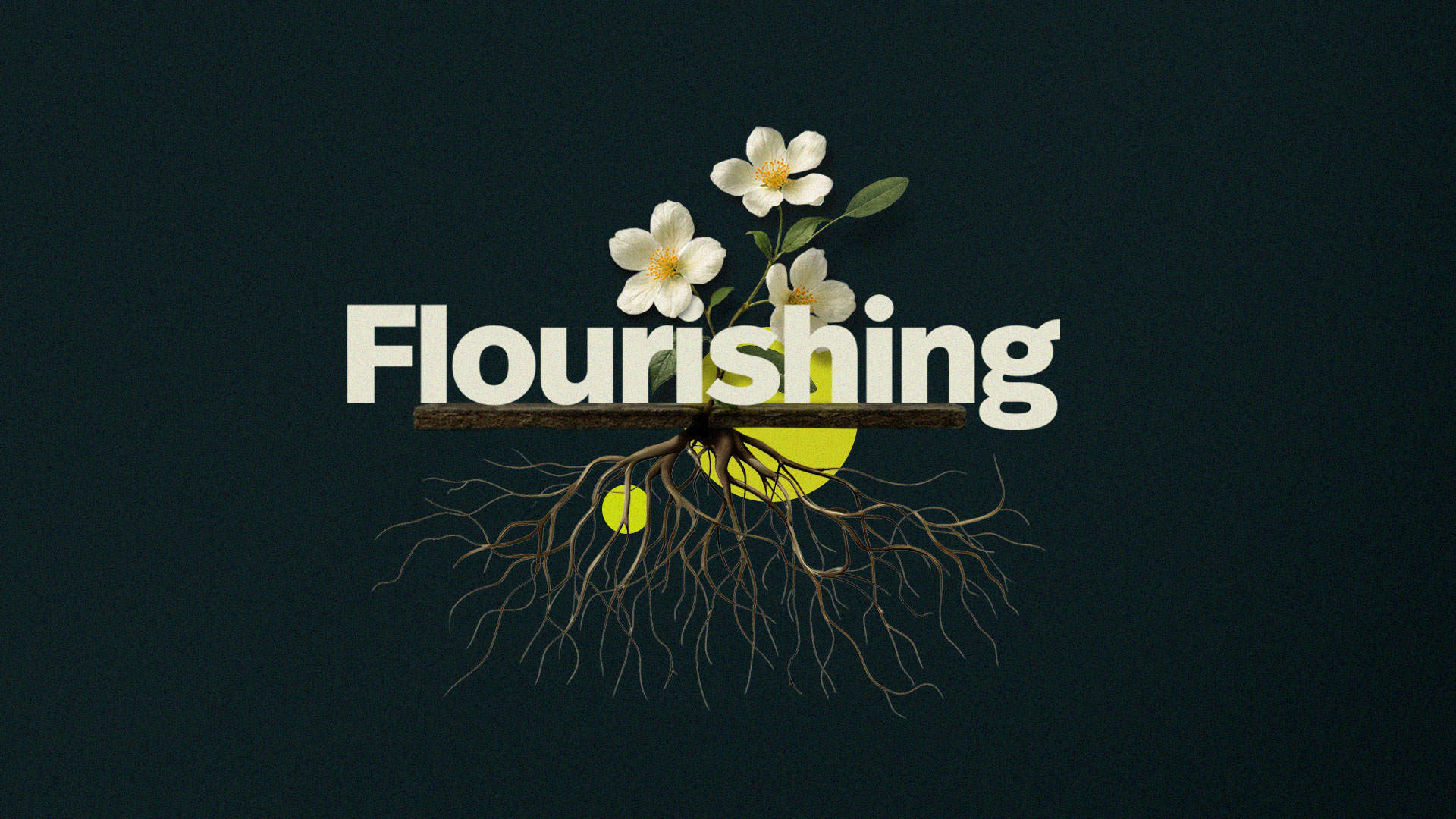  Flourishing