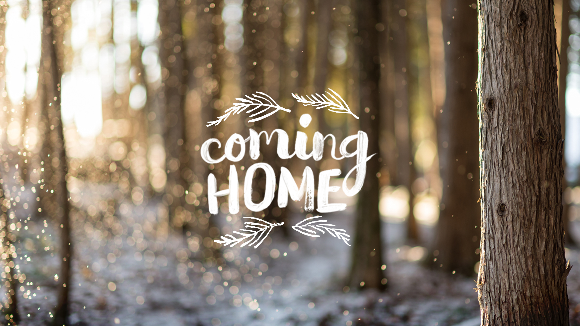 Coming Home